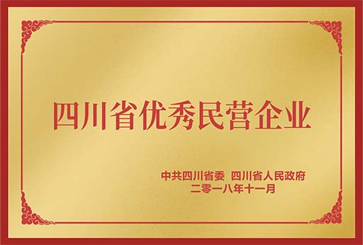 四川省優秀民營企業